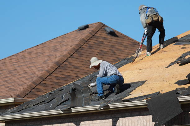 Best Roof Ventilation Installation  in La Grulla, TX