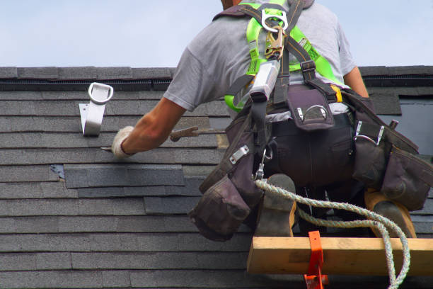 Best Metal Roofing Installation  in La Grulla, TX