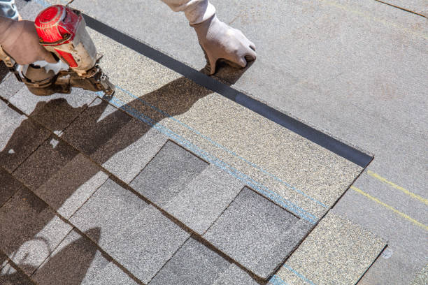 Best 4 Ply Roofing  in La Grulla, TX